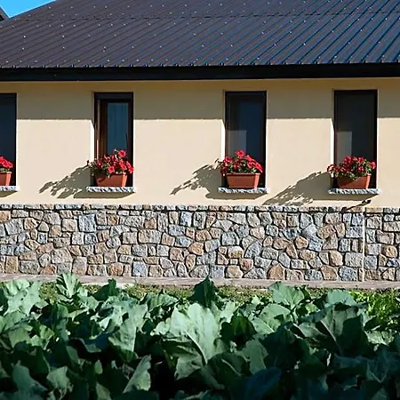 Hotel Fiorella 3*